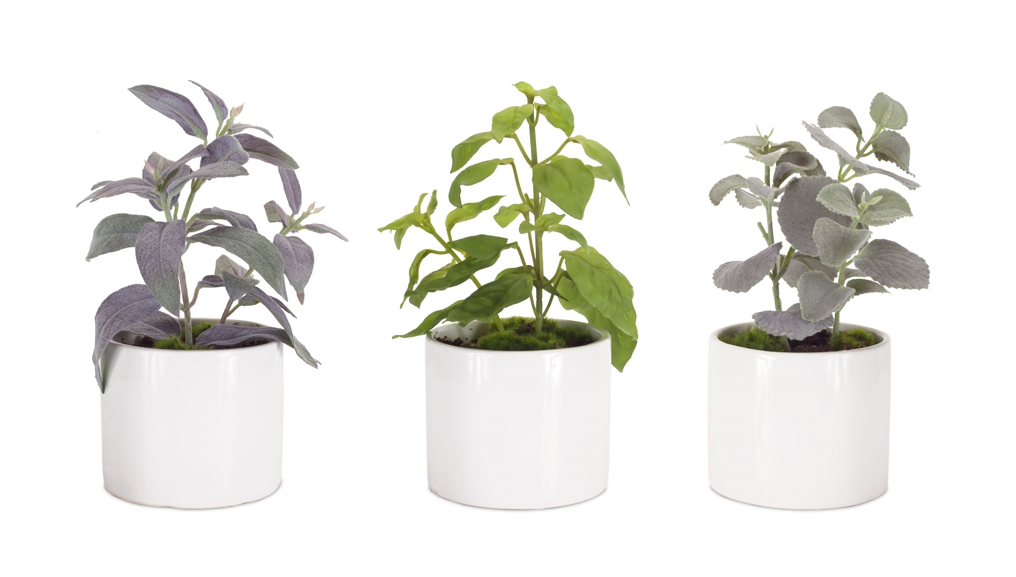 Potted Herb (Set of 3) 9.5"H Polyester