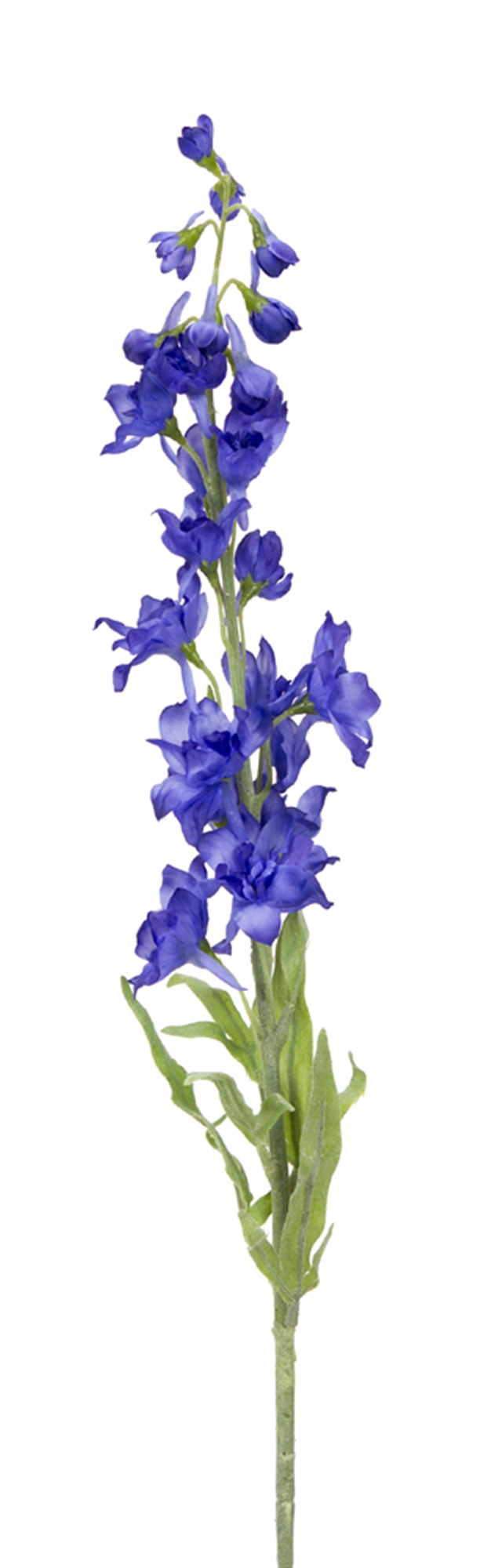 Delphinium (Set of 12) 28"H Polyester