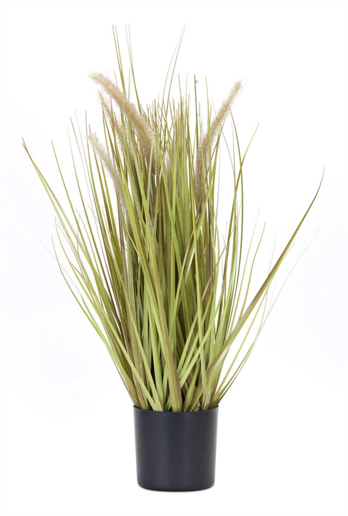 Potted Grass/Dogtail (Set of 2) 27"H PVC/Plastic