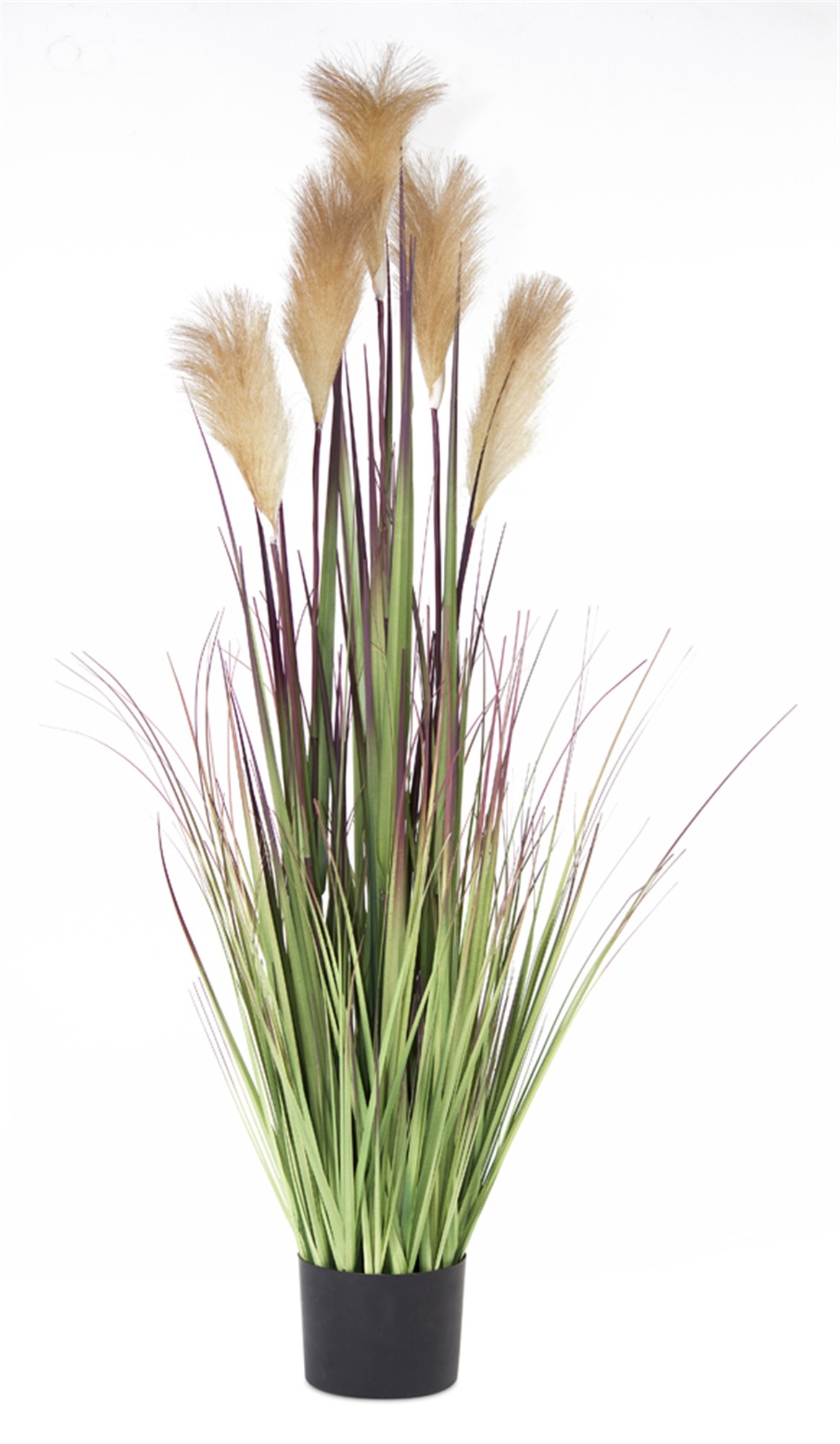 Potted Grass/Foxtail (Set of 2) 48"H PVC/Plastic