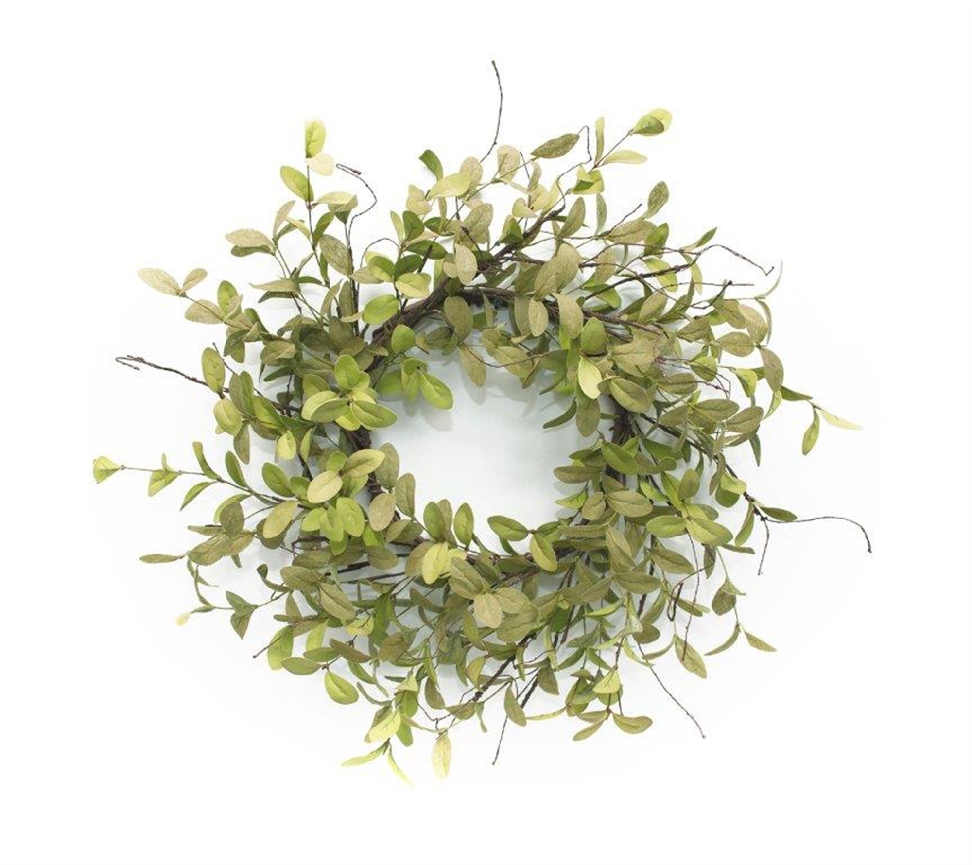 Foliage Wreath 23"D EVA