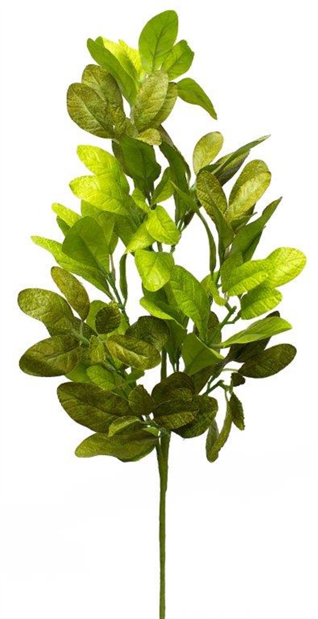 Foliage Spray (Set of 2) 33"H Polyester