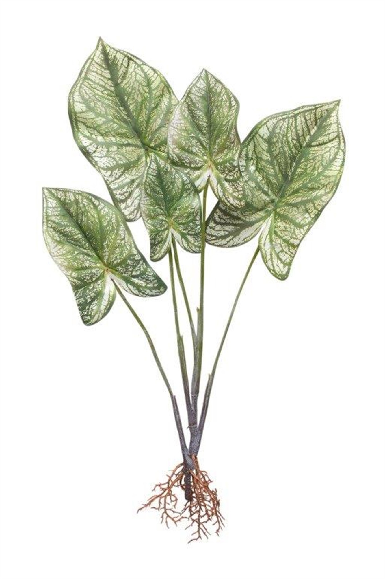 Caladium Plant (Set of 2) 22.25"H Polyester