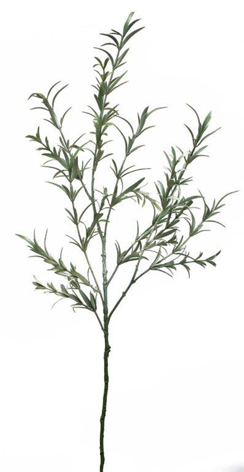 Lavender Foliage (Set of 4) 32.5"H Plastic