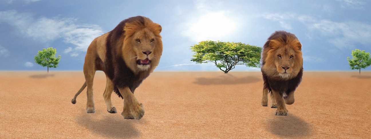 Animal Art - Motion Bookmark/ 6" Ruler - Lions