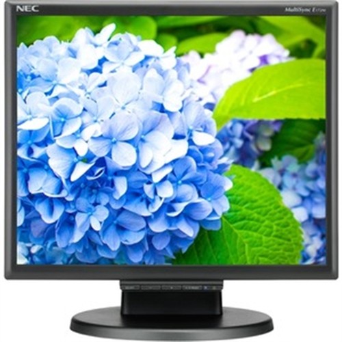 E172M-BK 17" LCD Monitor