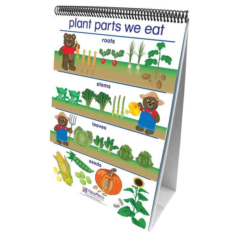 Flip Charts All About Plants Early, Childhood Science Readiness