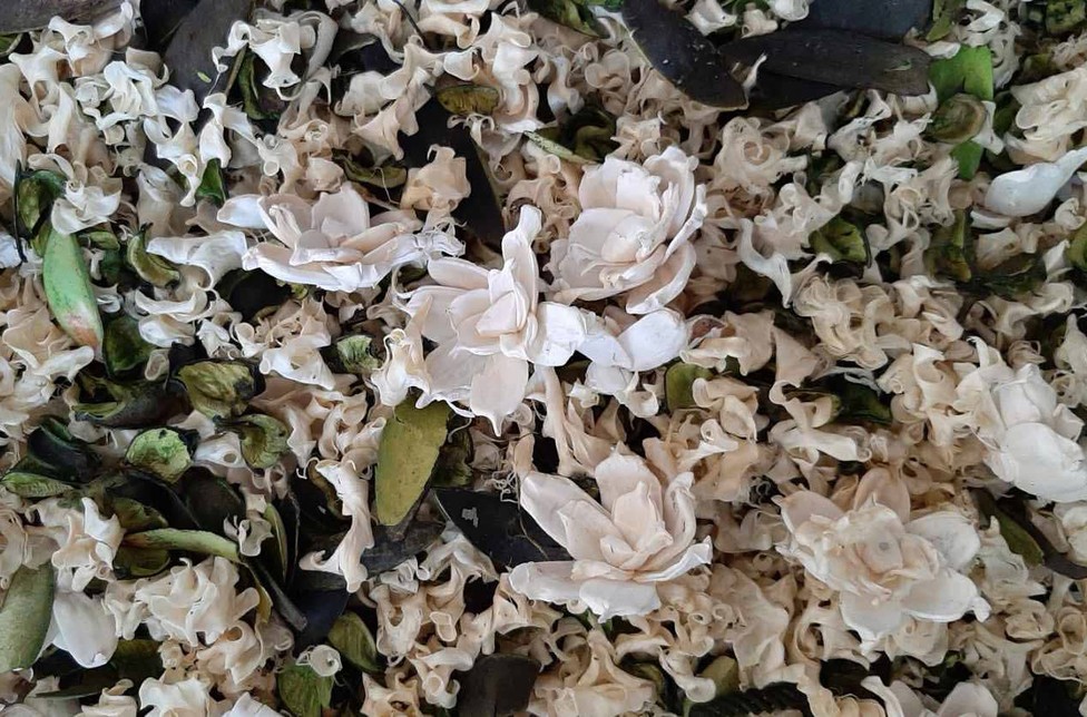 White Gardenia Handcrafted Potpourri