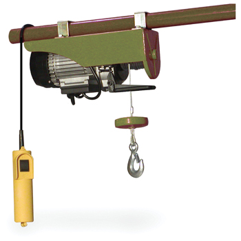 Buffalo Outdoor 440 Lb Electric Hoist