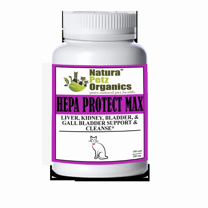 Hepa Protect Max Capsules - Liver, Kidney, Bladder & Gall Bladder Support & Cleanse* - CAT /150 caps / 250 mg