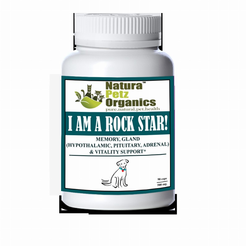 I Am A Rock Star - Memory, Gland (Hypothalamic, Pituitary And Adrenal) & Vitality Support* - DOG/ 90 caps / 500 mg