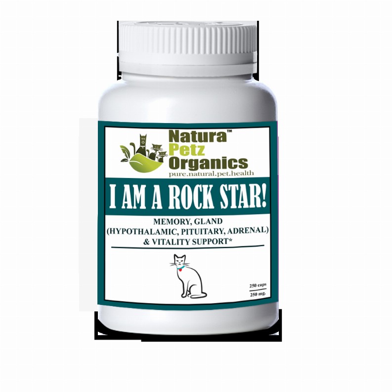 I Am A Rock Star - Memory, Gland (Hypothalamic, Pituitary And Adrenal) & Vitality Support* - CAT/ 250 caps / 250 mg