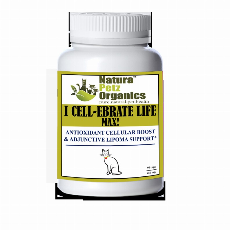 I Cellebrate Life Max - Antioxidant Cellular Boost + Adjunctive Lipoma Support* - CAT/ 90 caps / 250 mg