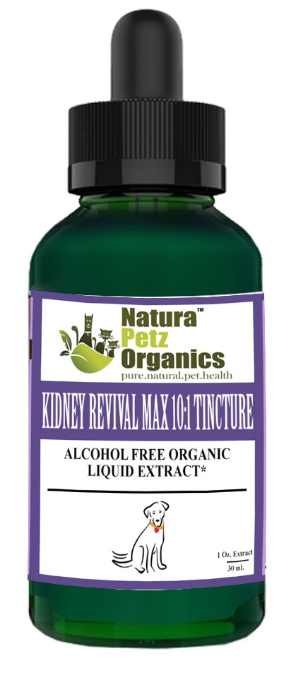 Kidney Revival Max - Master Blend Kidney Cleanse & Support* Tincture Adult & Senior Dogs