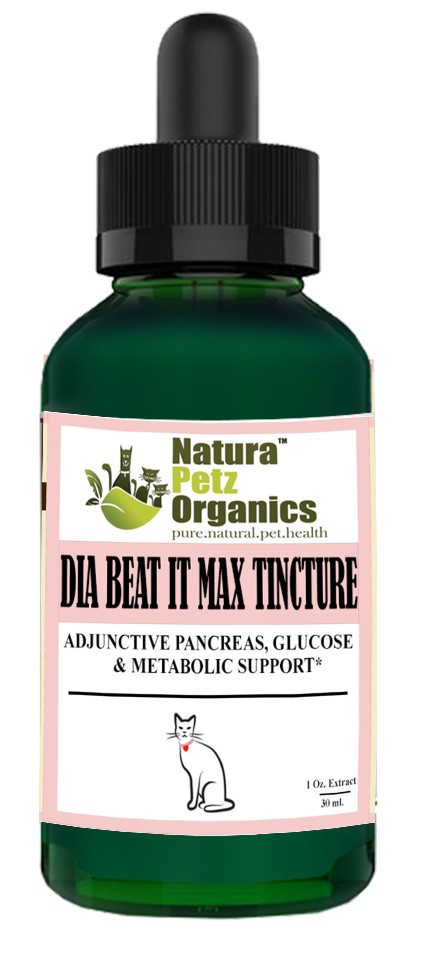 Max Tincture Extract* - Adjunctive Pancreas, Blood Glucose & Metabolic Support*