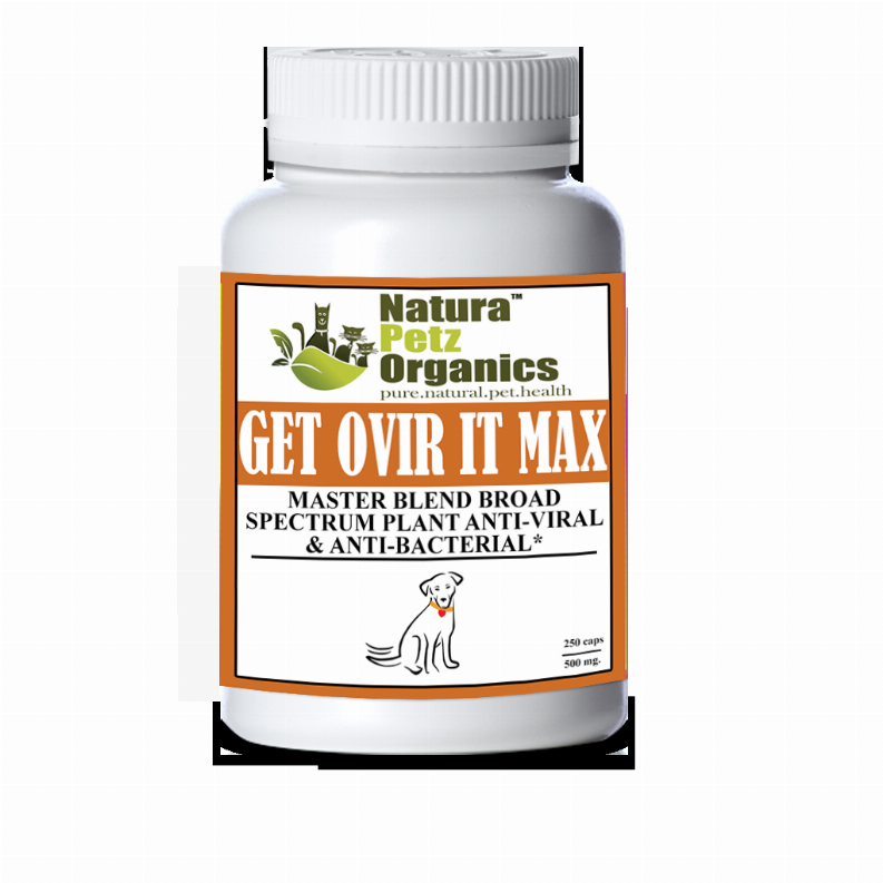 Get Ovir It Max* Master Blend Broad Spectrum Plant Anti Viral Anti Bacterial For Dogs And Cats* DOG - 250 caps / 500 mg. 