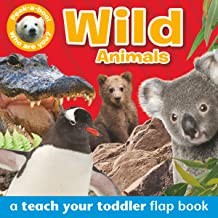 PEEK-A-BOO - WILD ANIMALS, A Teach-your-toddler flap book (Age 2+)