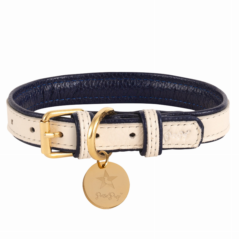 Dog Collar - Medium Hot Marine