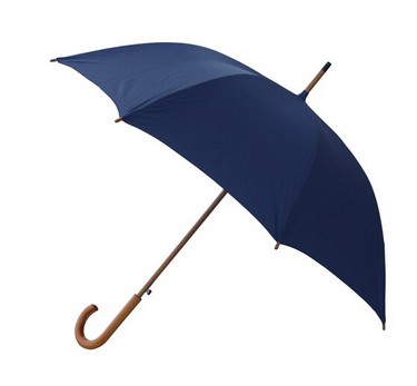 Lux Wood Umbrella