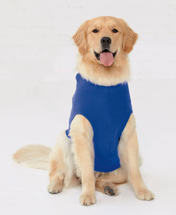 Doggie Skins Gameday Hoodie - XS Blue