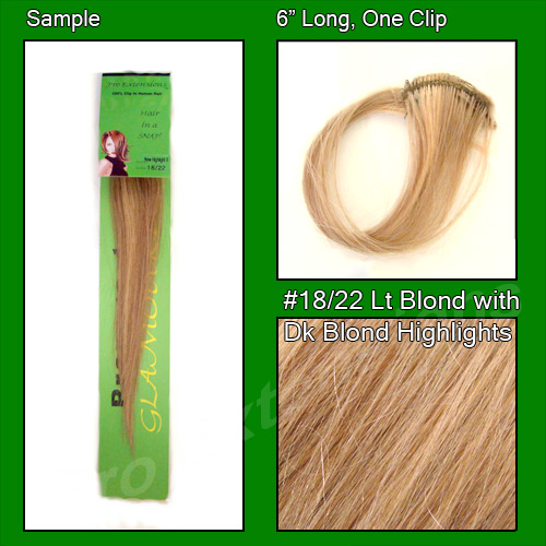 #18/22 Light Blonde w/ Dark Blonde Highlights Sample