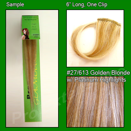 #27/613 Dark Golden Blonde w/ Platinum Highlights Sample