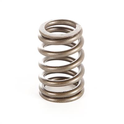 VALVE SPRING; 87-97 YJ/XJ/MJ/ZJ/SJ