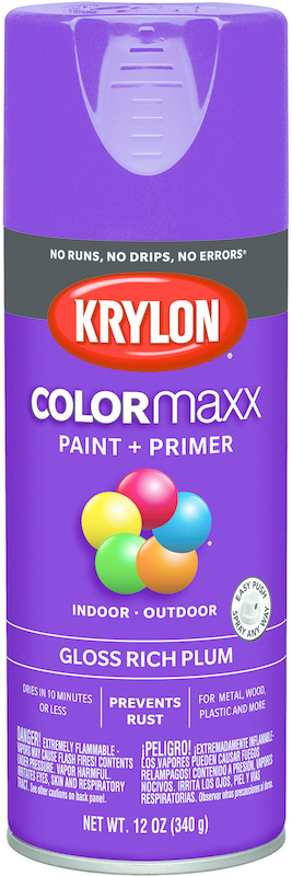 5536 Spray Paint Gloss Rich Plum Paint