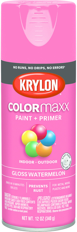 5544 Spray Paint Gloss Watermelon Paint