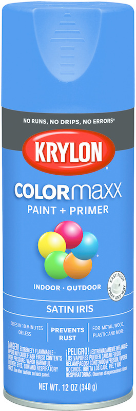 5564 Spray Paint Satin Iris Paint