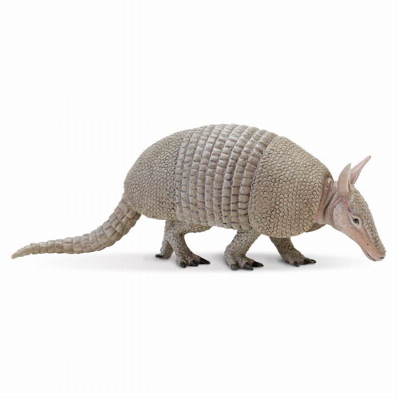 Armadillo