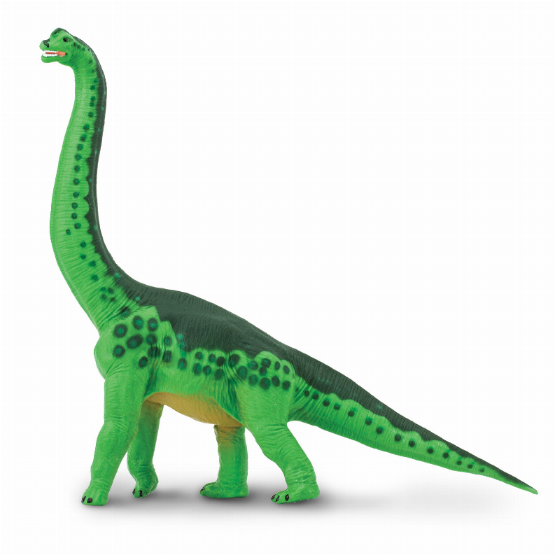 Brachiosaurus