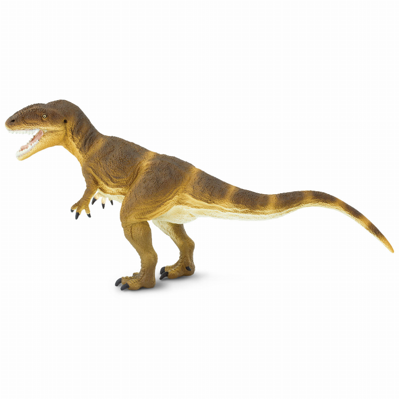 Carcharodontosaurus