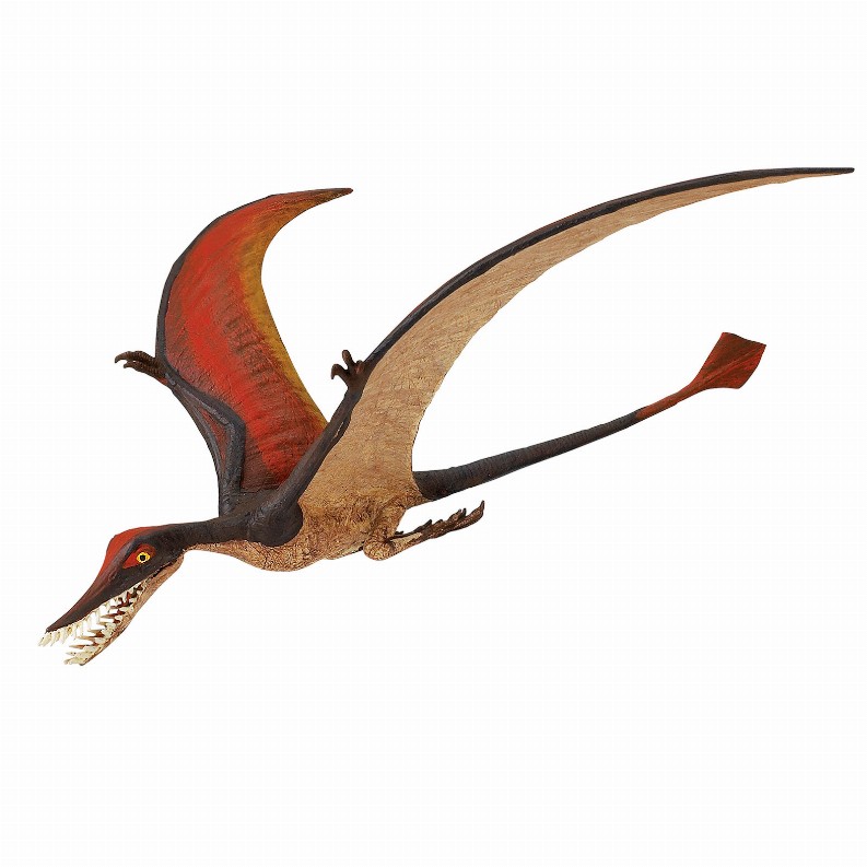 Rhamphorhynchus