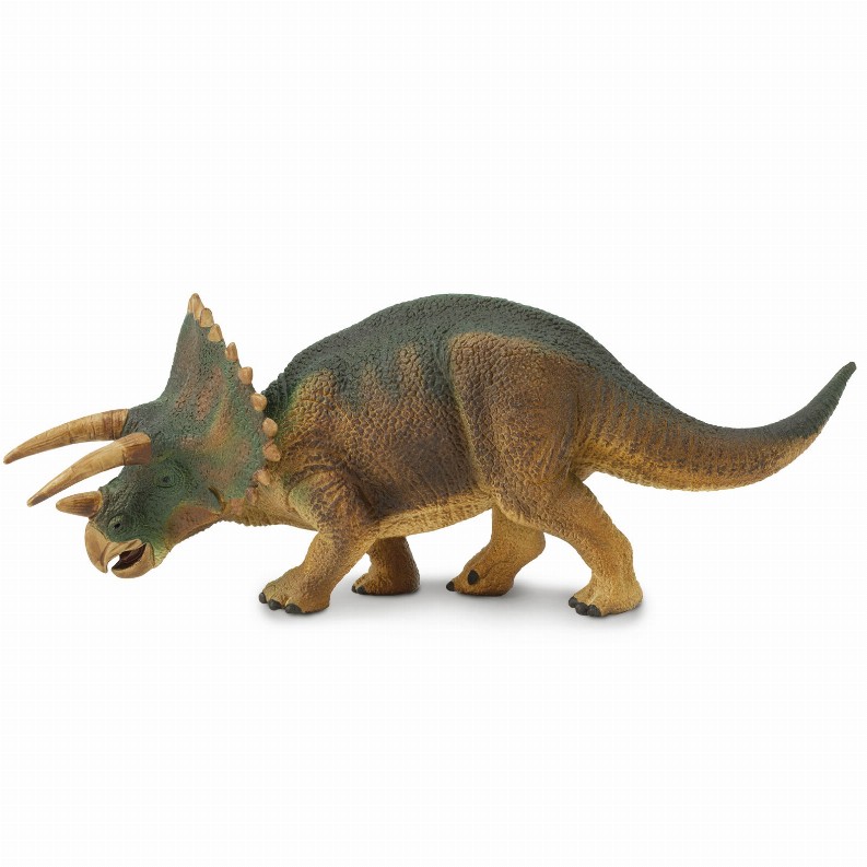 Triceratops