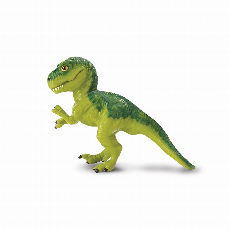 Tyrannosaurus Rex Baby