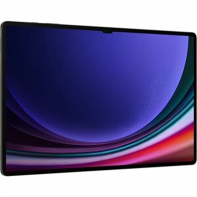 Galaxy TabS9 Ultra 16+1TB Gray