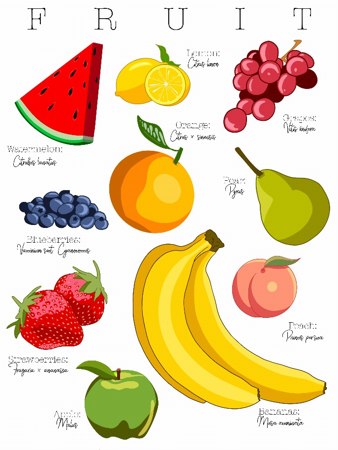 Fruit Poster