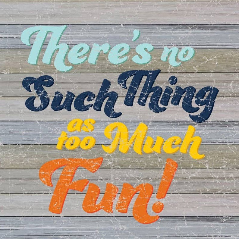 There's No Such Thing As Too Much Fun!... Wall Sign