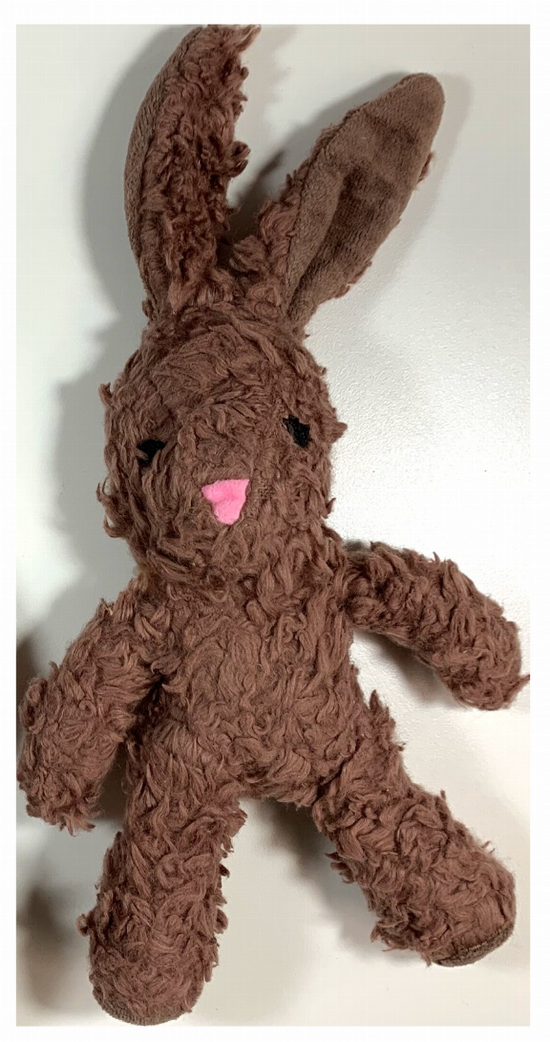 Organic Cotton Bunny