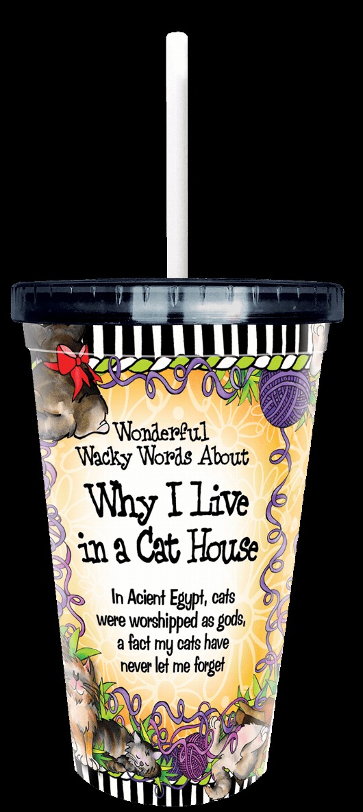 Wonderful Wacky Words COOL Cup - Cat House