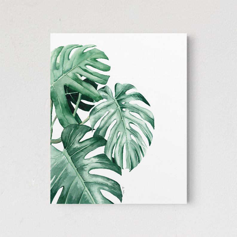 Monstera Leaves - 5x7