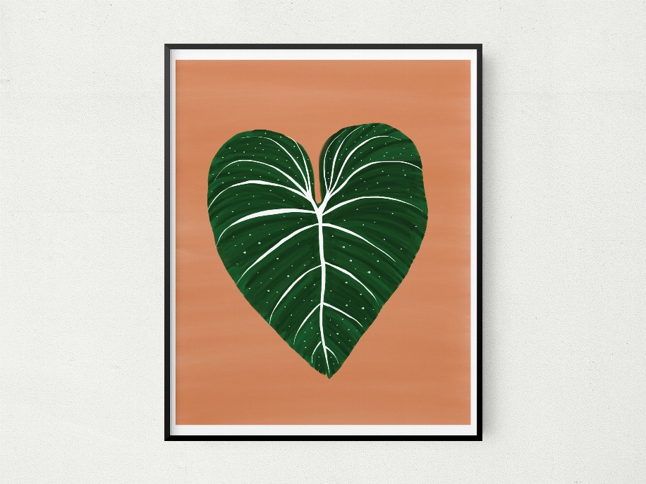 Philodendron