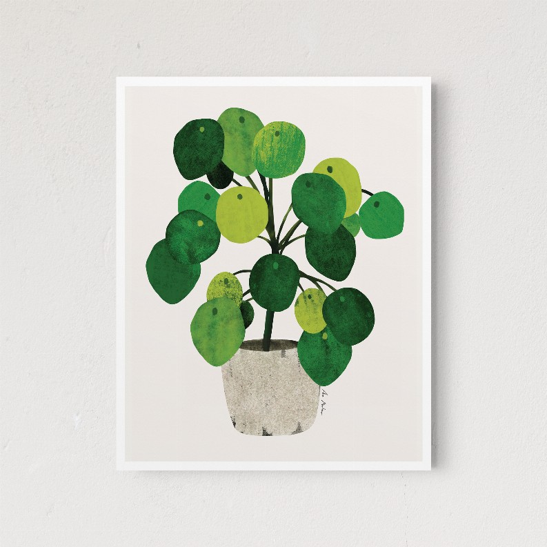 Pilea - 5x7