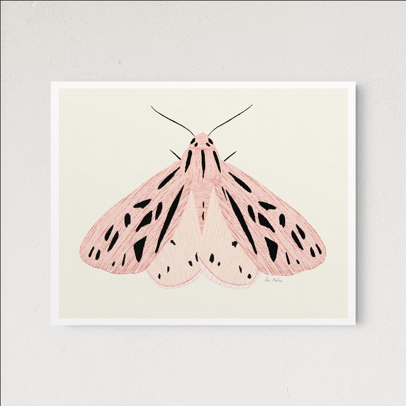 Pink Moth - 5x7