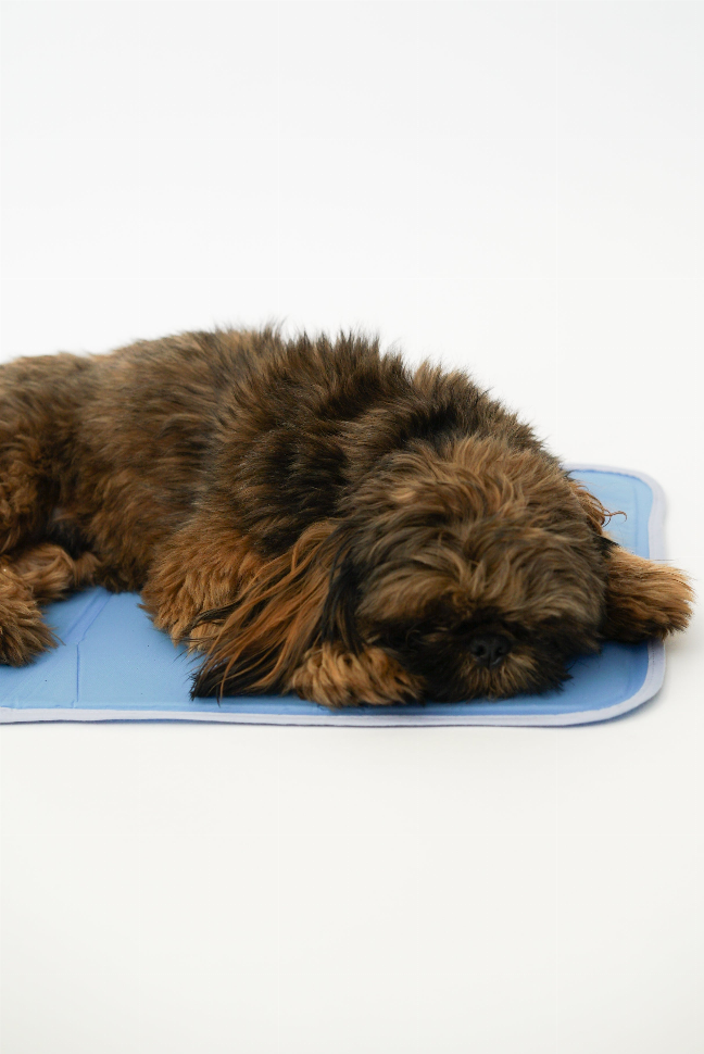 Cool Pet Pad - XS