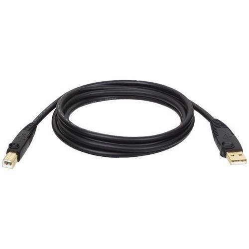 10' USB 2.0 A B Cable