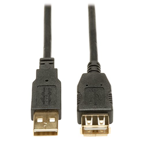 3' USB 2.0 Gold Cable