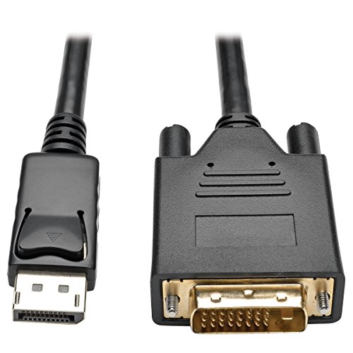 DPort DVI Adapter 6'