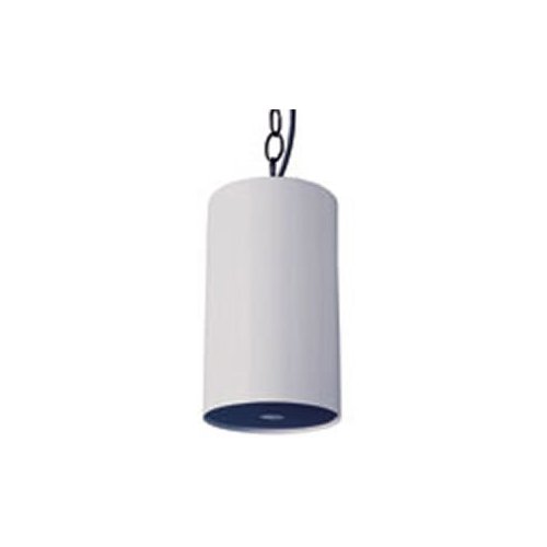 Pendant Speaker - Gray